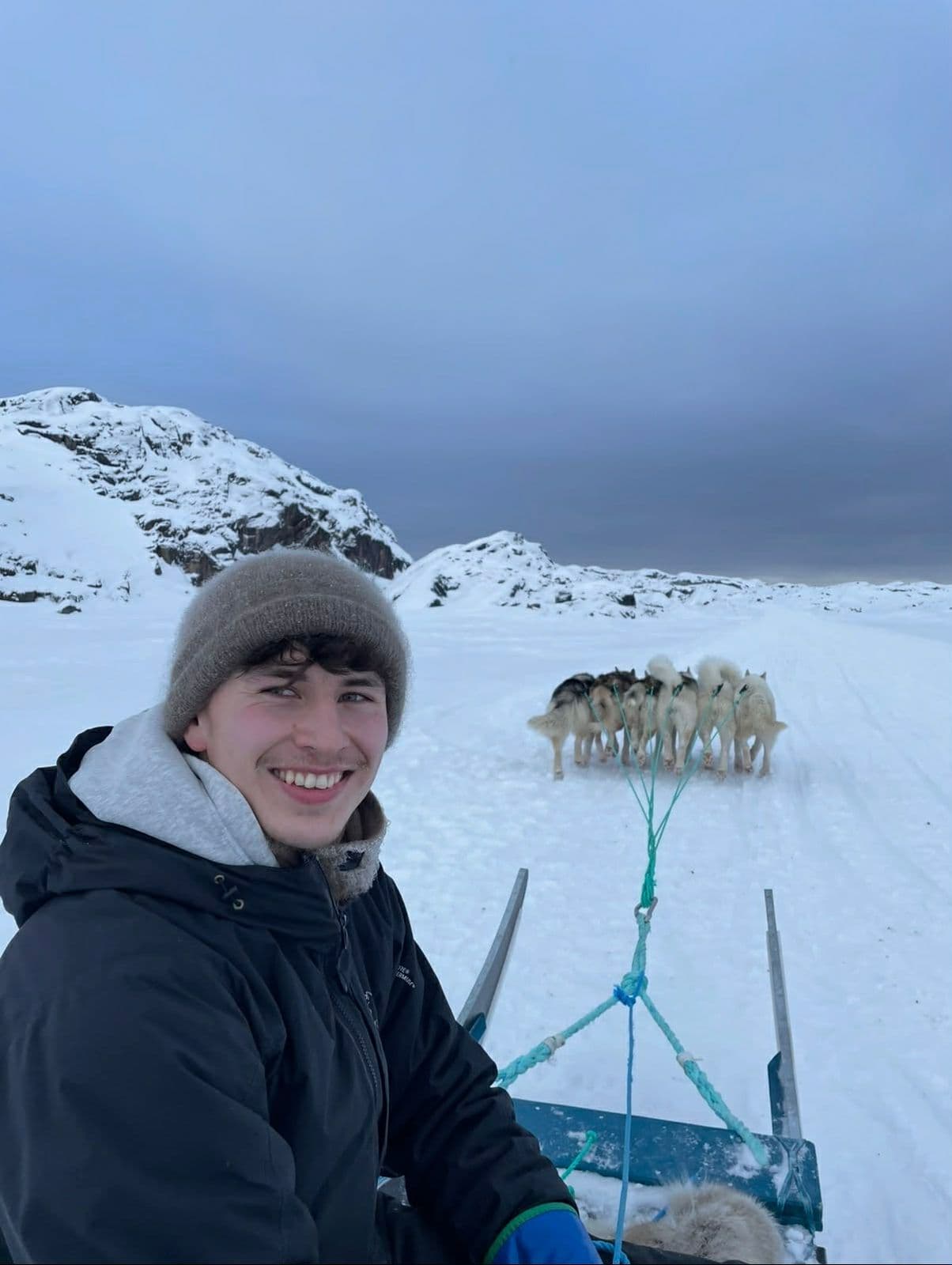 A musher with the sled dog team