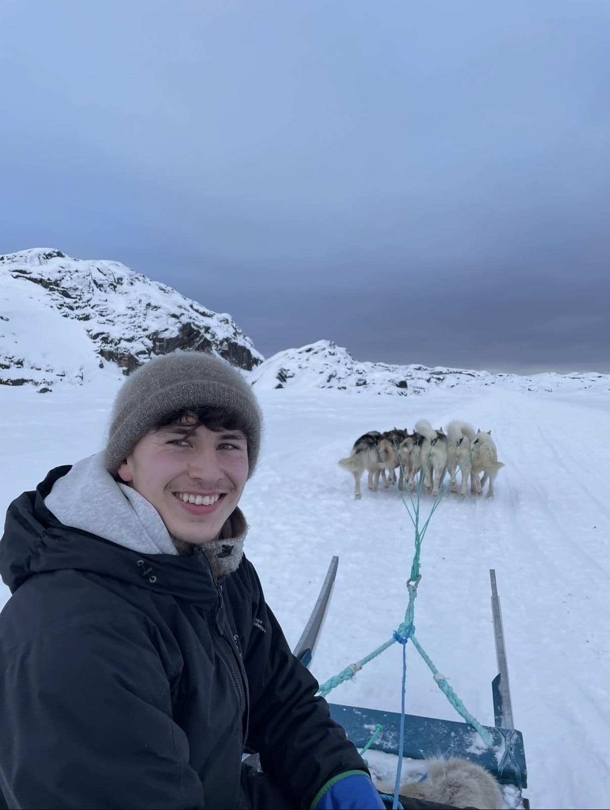 Niklas on the dogsled with his team running ahead
